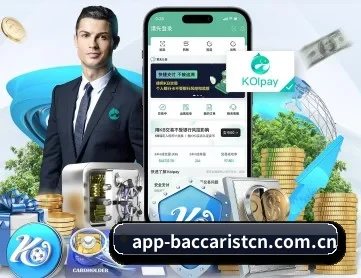 百家乐 APP 深度功能